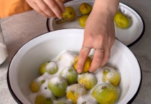 SLATKO OD SMOKVI…Ovaj recept će oduševiti vaša nepca…