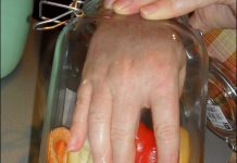 KISELE PAPRIKE ZA 10 MINUTA – bez kuhanja, a fenomenalnog ukusa!