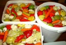 “ŽIVA TURŠIJA SVE PO 2”: JEDNOSTAVAN RECEPT ZA PRAVU ZIMNICU… UŽIVAJTE…