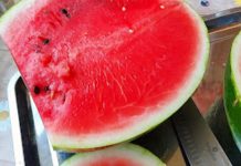 Doktorka Anastasija otkrila šta se dešava ako pojedete semenku lubenice: Ovo će vam pomutiti mozak, kakav šok