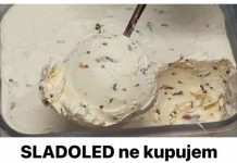 SLADOLED ne kupujem cijelo ljeto: Pravim ga od pavlake i šlaga za samo 3 minute! (VIDEO)