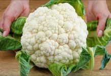 RECEPT ZA NAJUKUSNIJI KARFIOL, zašto ranije nisam znala ovaj recept? Bolje od mesa! Nema prženja.