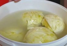 DOMAĆICA OTKRILA KAKO DA SE KISELI KUPIS NE POKVARA: Caka nije RASO, nego ova TEHNIKA u BURETU