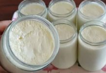 Gusti domaći jogurt napravljen od samo dva sastojka – superiorniji od svega što možete kupiti u trgovinama.