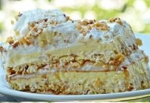 JEDNA OD NAJLJEPŠIH TORTI KOJA SE TOPI U USTIMA