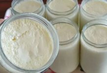 Bogat i kremast domaći jogurt napravljen od samo dva sastojka – superiorniji od svega što možete pronaći u trgovinama.
