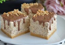 PLAZMA SLADOLED KOCKE…Ove kocke karakterizira brza priprema, jednostavnost, osvježavajuća priroda i predivan okus.