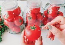 Čupam paradajz i traje kao SVJEŽ do 2 godine: Bez vode, soli ili sirćeta – malo ljudi poznaje ovu metodu!