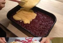 RAFAELO LEDENE KOCKE OD VIŠNJE: Ova je torta toliko vlažna da se topi na nepcu, ostavljajući sve nestrpljive da pitaju za recept (RECEPT).