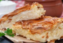 GUŽVARA – NAJBOLJA PITA IKADA