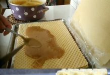 STARINSKA OBLANDA SA MLEKOM I ORASIMA – Karamel oblanda – Savršena poslastica sa samo 3 sastojka!