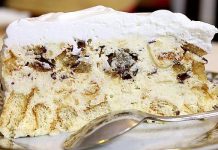 PLAZMA TORTA SA JAFA KEKSOM BEZ PEČENJA…MOJA DOBITNA KOMBINACIJA🧇🧇🧇🧇