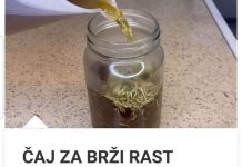 ČAJ ZA BRŽI RAST KOSE – SASTAVLJEN OD KOPRIVE I DVIJE DODATNE BILJE: Lijek za prorijeđenu, rijetku kosu i prekomjerno opadanje!
