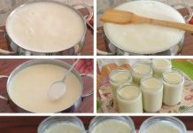 Domaći gusti jogurt, izrađen od samo dva sastojka, nadmašuje kvalitetu komercijalno dostupnih opcija.