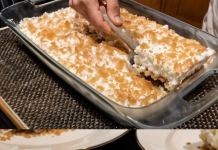 KOLAČ KOJI JE ZAVLAČIO OSKARA… Kapa dolje osobi koja je osmislila ovaj recept!!