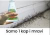 Samo 1kap i mravi će odmah nestati: Najefikasniji kućni TRIK!