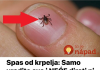 Spas od krpelja: Samo uradite ovo i NEĆE dirati ni vas ni vašeg psa + savjet kako da ih izbacite iz vašeg dvorišta!