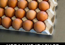 Ne bacajte vodu u kojoj ste kuhali jaja, može vam biti od velike koristi