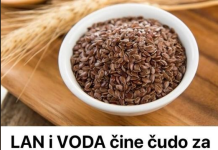 LAN I VODA Čine ČUDO Za 12 Dana: Kad Bi Žene Znale Šta Sve MOŽE, Uvijek Bi Ga KORISTILE!