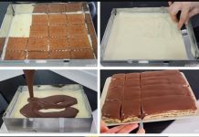 RECEPT ZA LAŽNE KOCKE LEDA: Okus je potpuno izmišljen, a proces brz.