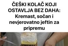 ČEŠKI KOLAČ KOJI OSTAVLJA BEZ DAHA: Kremast, sočan i nevjerovatno jeftin za pripremu