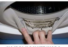 NAJBOLJI SAVJET IKADA: Evo kako da iz veš mašine uklonite buđ i sav neprijatan miris!