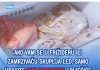 Ako vam se u frižideru ili zamrzivaču skuplja led, samo ubacite ovu namirnicu i riješiće vam problem
