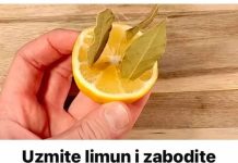 Uzmite limun i zabodite L0V0R0V list: Neko bi TREBA0 dobiti medalju za 0VU ideju!