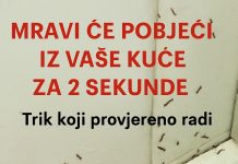 Mravi će pobjeći iz vaše kuće za 2 sekunde: Trik koji provjereno radi