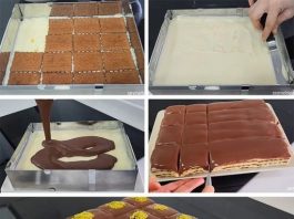 RECEPT ZA LAŽNE LEDENE KOCKE: Ukus je čista fantazija, a priprema brzinska