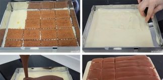 RECEPT ZA LAŽNE LEDENE KOCKE: Ukus je čista fantazija, a priprema brzinska