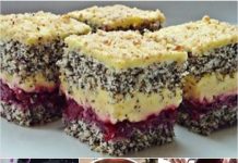 EVO GA KOLAČ NAD KOLAČIMA…MAK KOLAČ SA CRVENIM VOĆEM