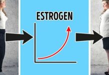 MASLO NA BEDIMA STVARA ESTROGEN, KORTIZOLA NA TRBUHU: Evo kako zaustaviti hormonsko debljanje