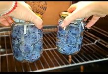 Svježe šljive čuvam u tegli do zime! Ne kvare se godinama!