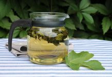 Ljekovita svojstva lista kojeg mnogi imaju u vrtu: Ovaj podcijenjen mediteranski dragulj liječi puno toga, a vi ga bacate