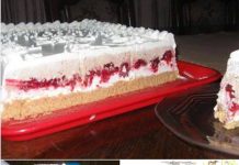 TORTA BEZ KUHANJA I PEČENJA DOVOLJNO JE DA ZNATE DRŽATI MIKSER…