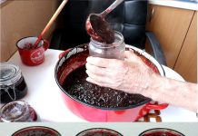 KAKO SPREMITI DŽEM OD ŠLJIVA U RERNI Bolji ukus ne možete zamisliti