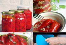 MARINIRANE PAPRIKE U TEGLI-NA MAKEDONSKI NAČIN