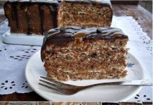 NE ZNAM DA LI STE OVO IKADA PROBALE, OVO JE PREDIVNO