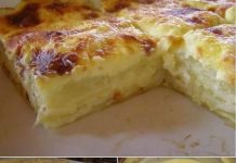 OVAKAV RUČAK BI MOGLA JESTI SVAKI DAN