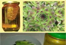 Pomiješajte OVA 2 sastojka i UNIŠTITE i bilo koji ciste i miome! (PROVJEREN RECEPT)