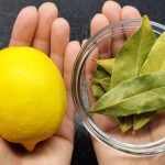 Uzmite limun i zabodite lovorov list: Neko bi trebao dobiti medalju za ovu ideju!