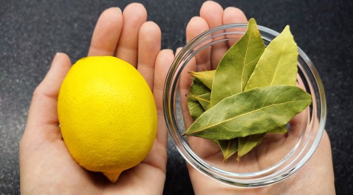 Uzmite limun i zabodite lovorov list: Neko bi trebao dobiti medalju za ovu ideju!