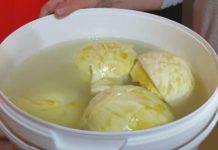 Samo ovo je prava količina za pravi rasol, evo koliko soli ide u 10 l vode za kiseli kupus