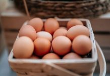 Koliko tačno dugo smiju da se čuvaju svježa jaja u frižideru? Iznenadićete se