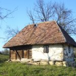 Djeca su dovela majku u staru kućicu u selu, ostavili je samu, bez hrane, i otišli. A kada je kćerka nazvala nakon šest mjeseci, iznenadila se onim što je čula…