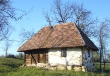 Djeca su dovela majku u staru kućicu u selu, ostavili je samu, bez hrane, i otišli. A kada je kćerka nazvala nakon šest mjeseci, iznenadila se onim što je čula…