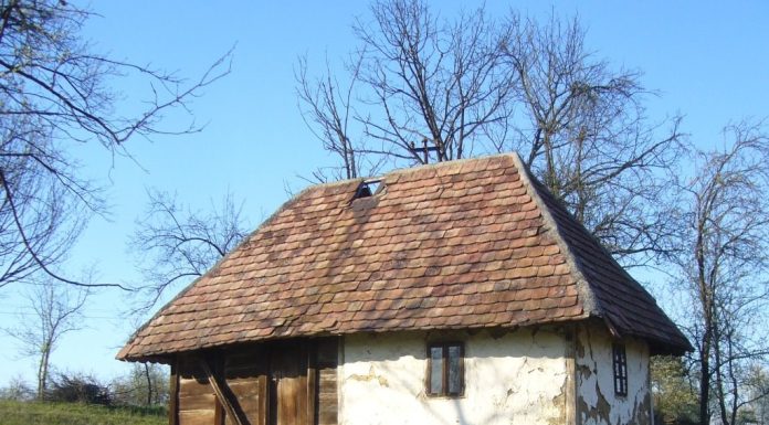 Djeca su dovela majku u staru kućicu u selu, ostavili je samu, bez hrane, i otišli. A kada je kćerka nazvala nakon šest mjeseci, iznenadila se onim što je čula…