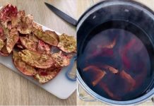 Skrivena moć kore nara: 10 zdravstvenih prednosti i kako je koristiti