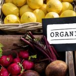 AKO IMATE PROBLEM SA ŠTITNOM ŽLIJEZDOM, OVE 2 NAMIRNICE IZBACITE: Štitna žlijezda ih nikako ne voli